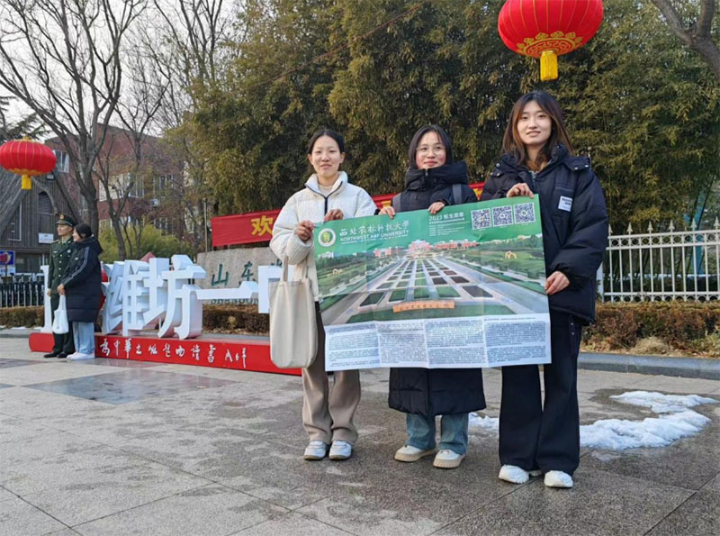 ��ϵĸУ��������ũ�����ط�ɽ��ʡΫ����һ��ѧ