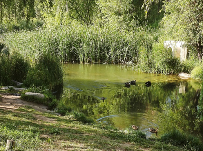 ���谲ȫ�ƺӣ���̬���ʲ���-������ѧ���ƺ����򡰻ƺӿƿ���ǿ��