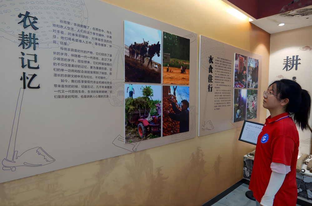 ϮɫѪ         ɽƼѧʳ