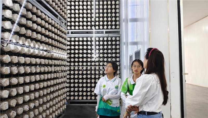 �����㹽̽���У��ഺʵ������ƪ