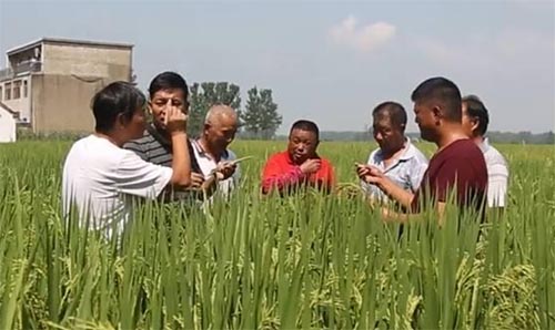 ����Ʈ�㣬ש�Ŵ����æ�������ղƾ���ѧ�ҷ������������