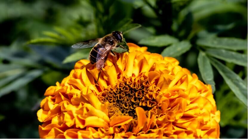 ÿ��ʵ������