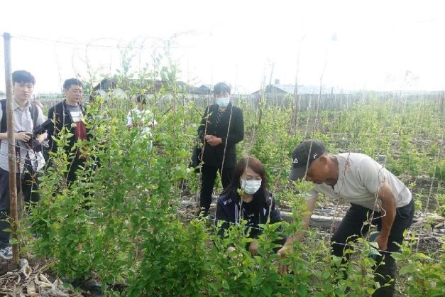 ��ʦѧ�Ӿ۽�ũҵ��չ��������徭��