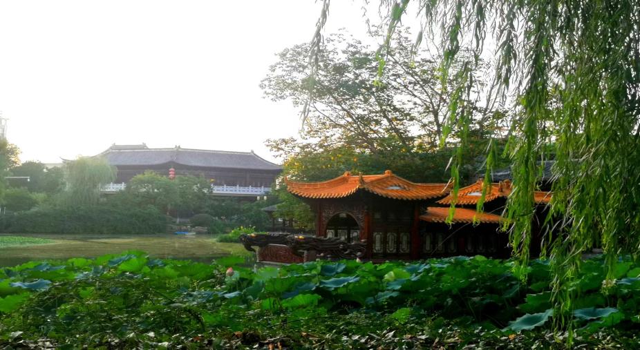 ����ѧ�������磺Ѱ�������б�Ӧ�صġ��й�ʽ�ִ�����������״