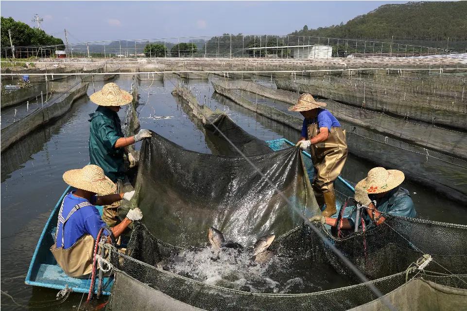 ���ѧ���ǻ��������Ƽ�֮�������ܶ�����ҵ�ڷ�