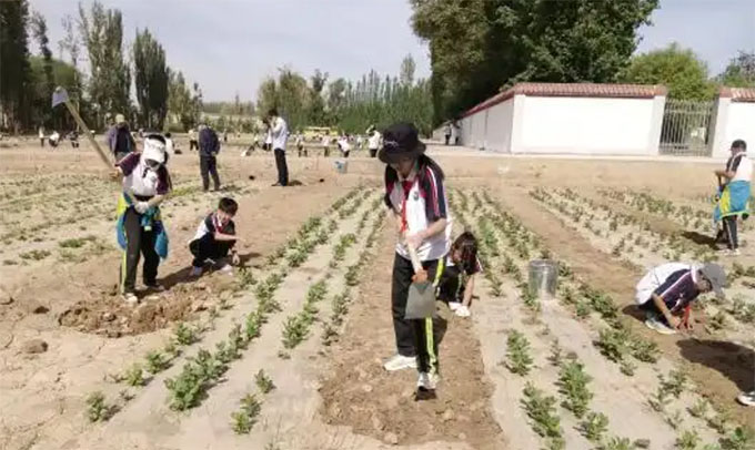 ���ʵ�����������ػ�ѧ���ɳ�ÿһ������