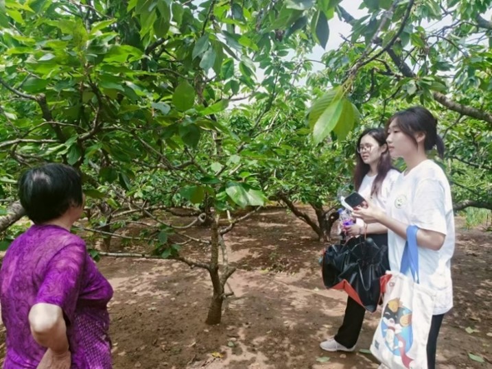 ��ҵƮ������ã��������չ��ƪ