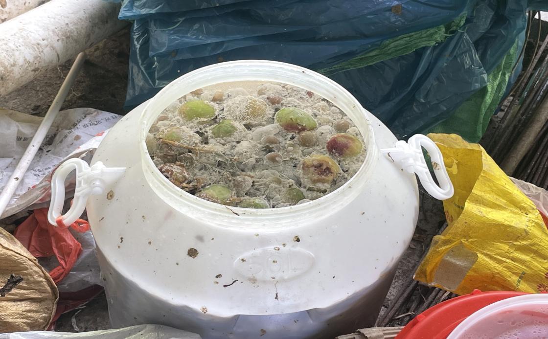 ͬ�ġ�������˷����ţ���̬ũҵ��ƪ�� ��ɫת����δ��