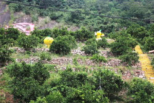 �人����ѧԺ��С�ȹ��¡�ʵ���ӣ�̽Ѱ߸Ϫ���������ں���ҵ̬������������̬�����·�չ