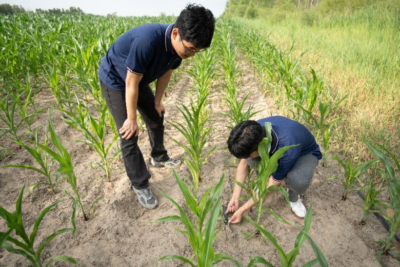 �й�ʯ�ʹ�ѧ��������ʯ�͹���ѧԺ��������Ұ����ʵ���ӣ�����