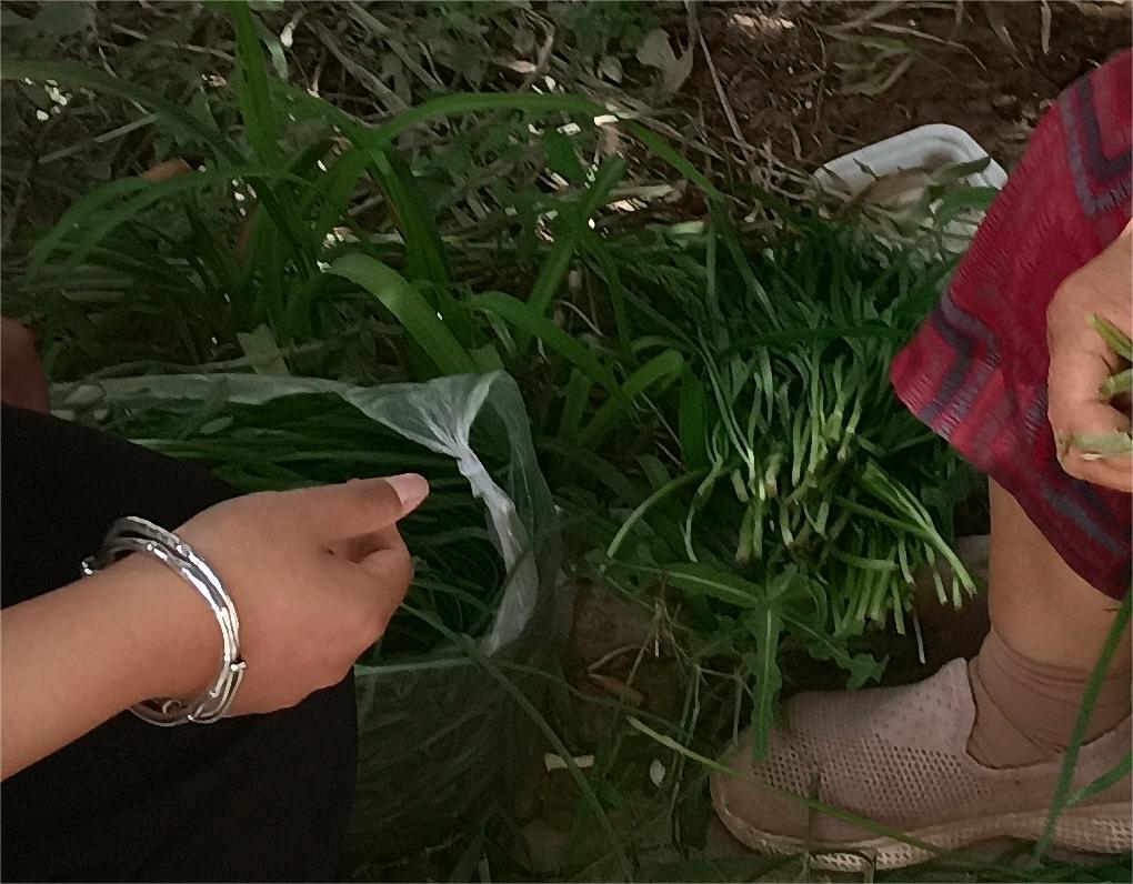 #���ڷ����� �� ���桤����ũ����� �˽�־Ը������#