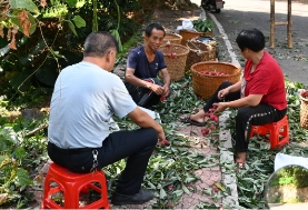 ����ũ�ִ�ѧ ��ũ�����Ρ� �������У�һ��ֱ���� ��״Ԫ�족 ��