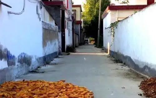 �Ĵ������־����ƶ����ס�·�