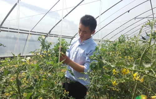 ���ϴ�ѧ�������ǰ��