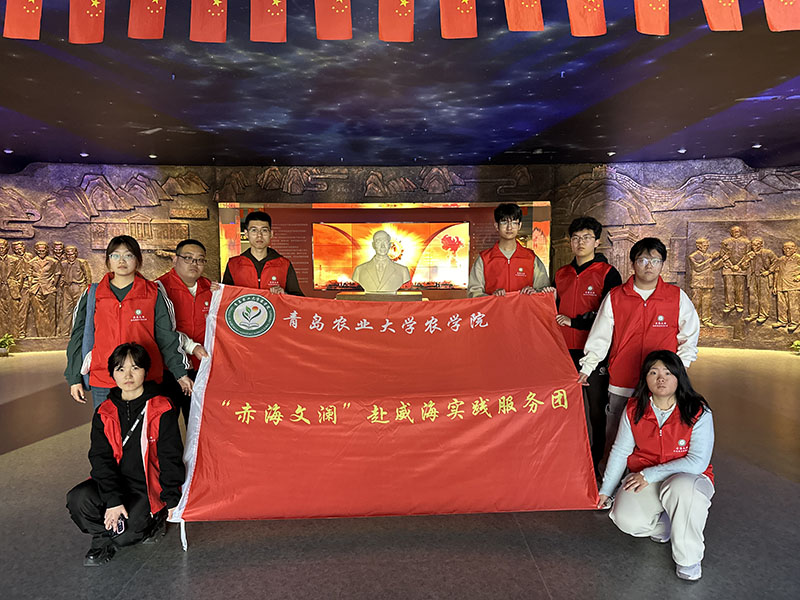 ũѧԺ���ຣ��������ʵ�������� ǰ���ٳɲ���ݵ���ѧϰ