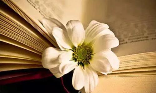 ���ݾ�óְҵ����ѧԺ��ҵ�ʼ���ҵǰ����ô��