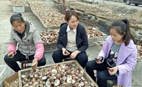 ������ѧ�����Ҷ�