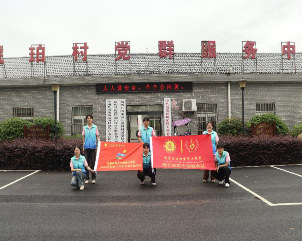 ��ҽ�����С������磺��רҵʵ�����Ӱ�ȫ������