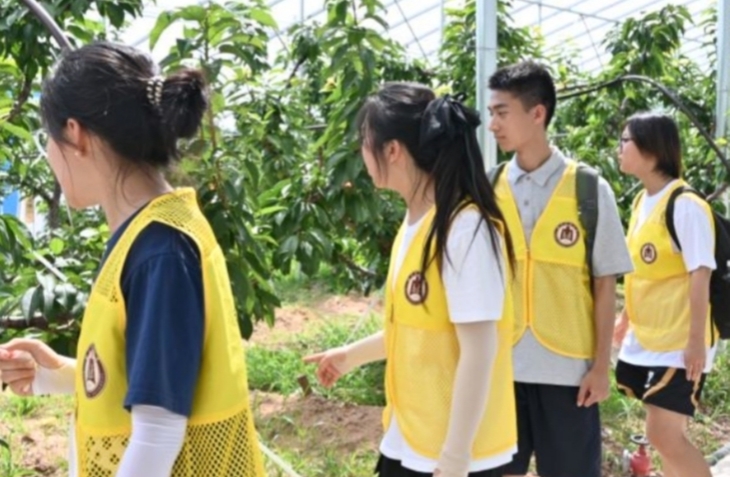 �����԰��ũ���ഺ���ʯ��