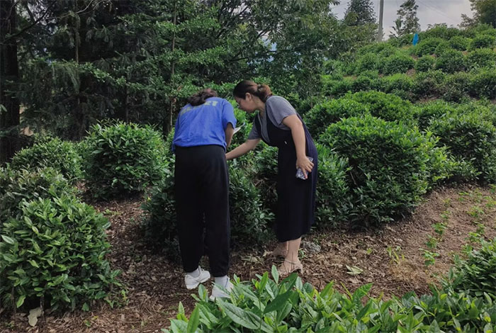 �衰�硱�ƻ��ݣ��衰�硱���¸�