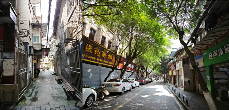 ����ʷ���ִ����죬�Ļ���ʵ��ͬ�С��������ѧ���ŵ����У�����