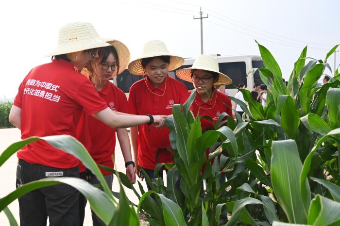 �ӡ��θ��������������Ұ���� ������רҵ������塰������С�