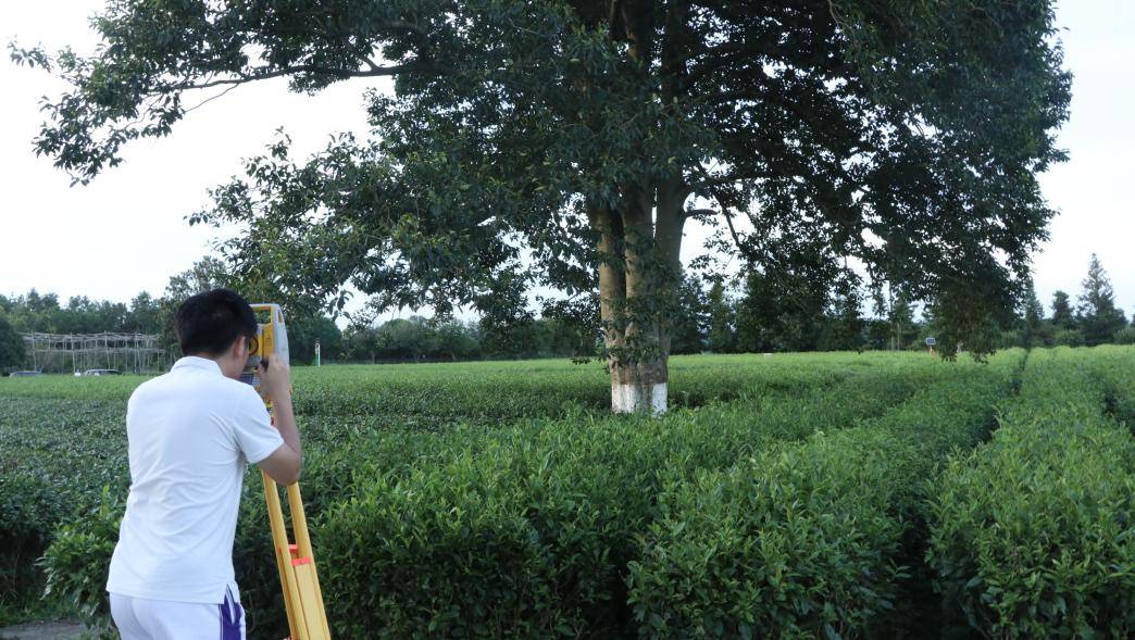 ��ѧ����΢���Ĳ�԰ʵ�־��ۡ���������