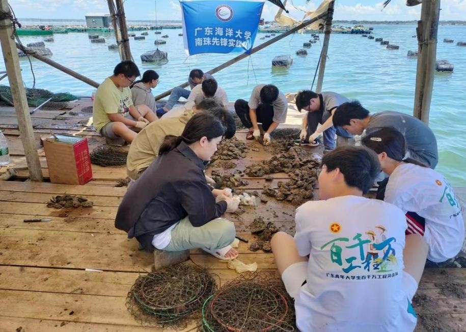 �����ȷ� | �ƹ����鱴������������������