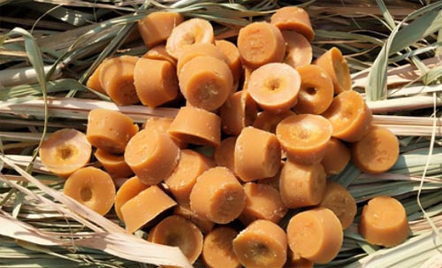 �����ط����ţ���ѧ������ú��������Ϲ��տ�����ģʽ