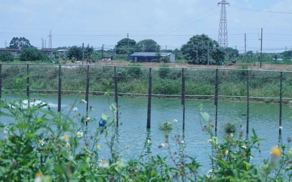 ��ǧ�򹤳�ح��ɽ��ѧ��������Լ��ʵ���ţ��߽�����˵���桱��һ��̽Ѱ����������