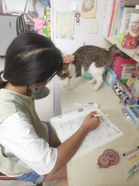 ��ʦ�����磺�ذ����ض�ͯ