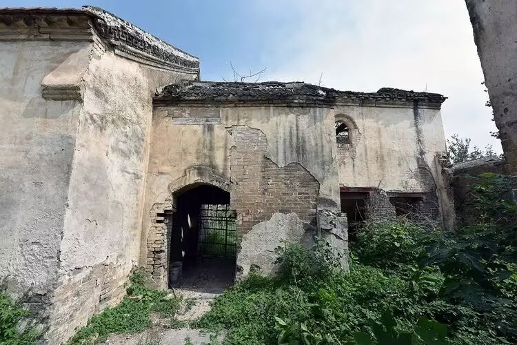 �Ž�������