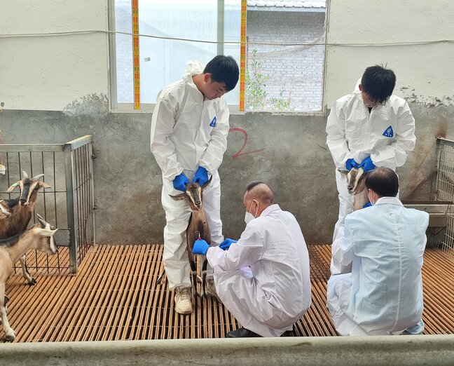 �Ӻ���ѧ����ʱ��֯��ϰˮ��С�ֶӸ�����ϰˮ��չ�������ʵ���