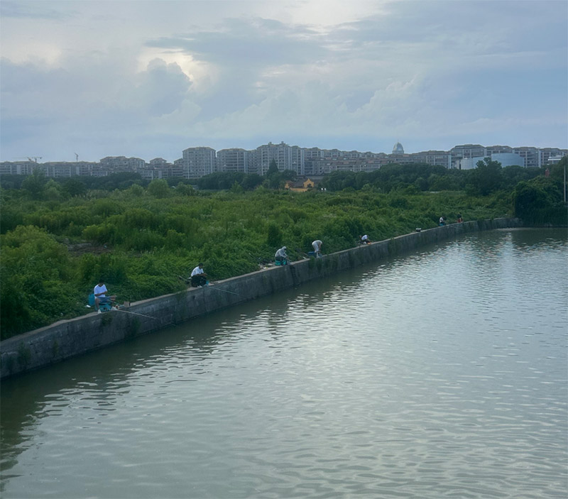 ����������̬���룺������ѧ����������Ž��봹������ˮ��Ⱦ֮��