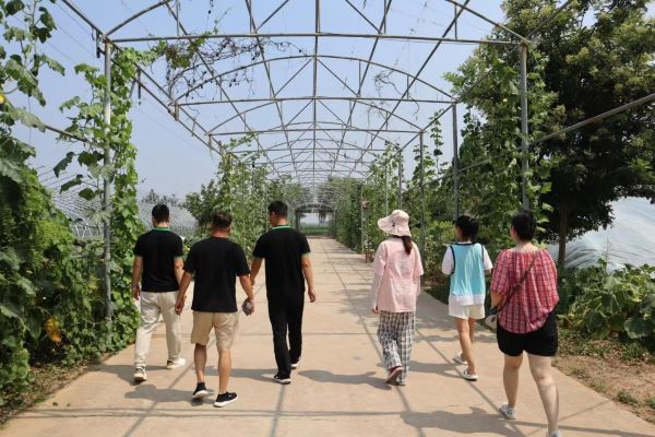 �ϲ��вƽ��������Ŷӣ���ɫ��Ʒ��׳�ɳ�������������չ