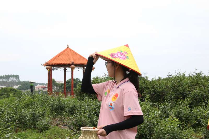 ����ʵ����ʶ ��ѧ�����ʵ����Ͷ�������԰���� Ϊ����������˺�ʵ����