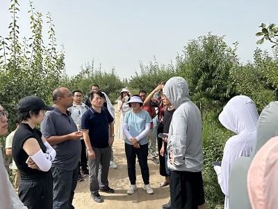 �����ƿ��������ഺ��֮����