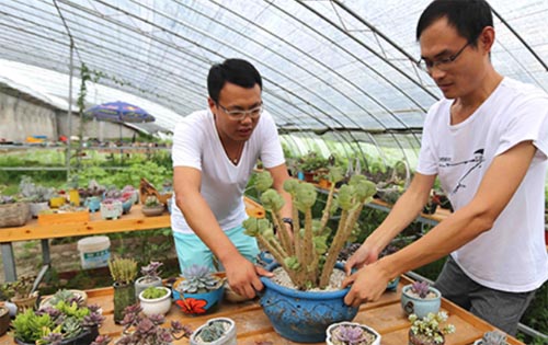 �������Ƹ۴�ѧ�������ֲ����ֲ���¸�