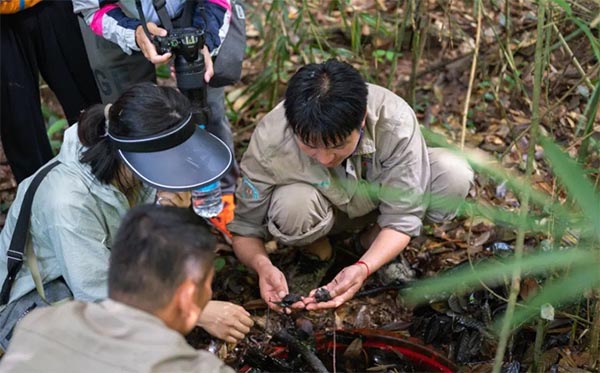 ���ȴ����֣�����ˮ��ɽ