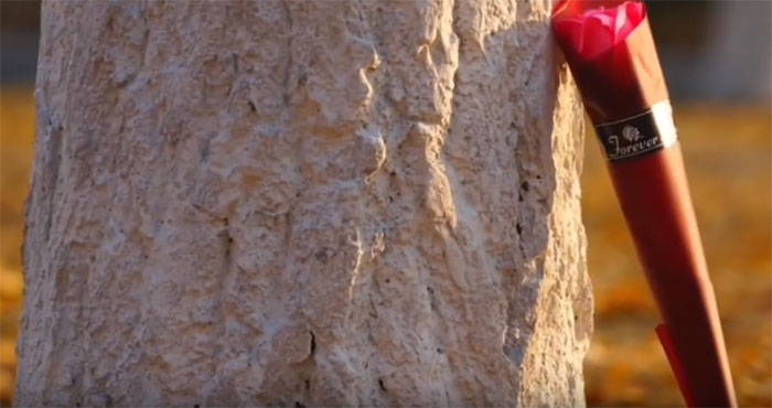 �д�����2023У԰�С����Ӵ��������Ũ��Ը�������ҹ��ɳ�