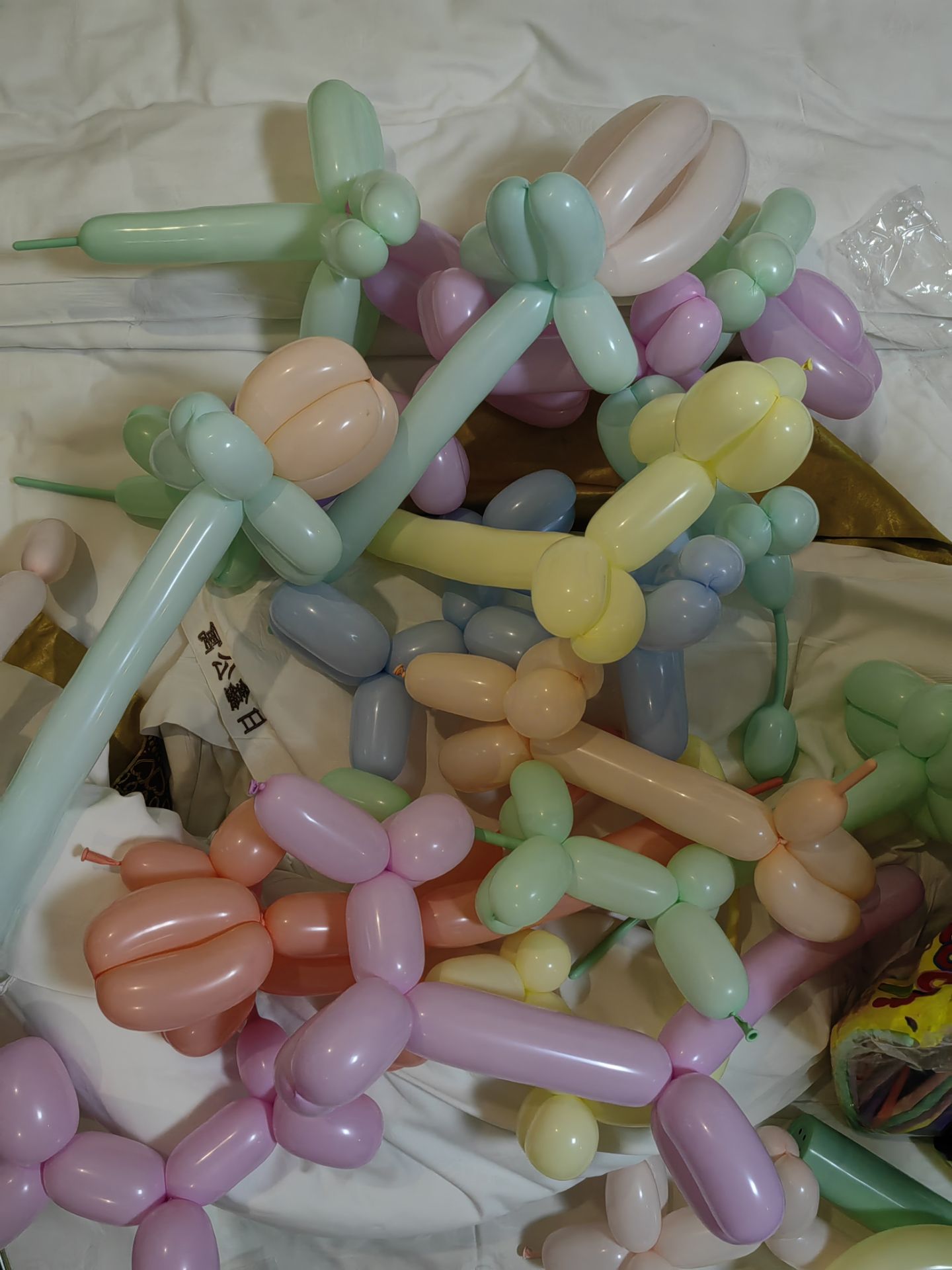 �ð�����ϣ���������϶�ͯʵ���