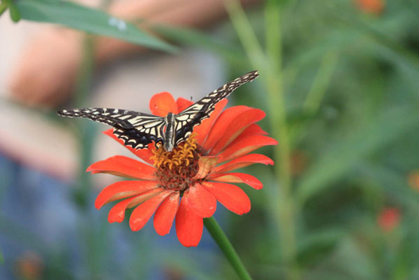 ��Ժѧ�������磺̽�ú���ũ����������̬������ �����������