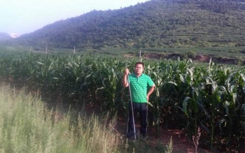 ���ϴ�ѧ���������ΰ