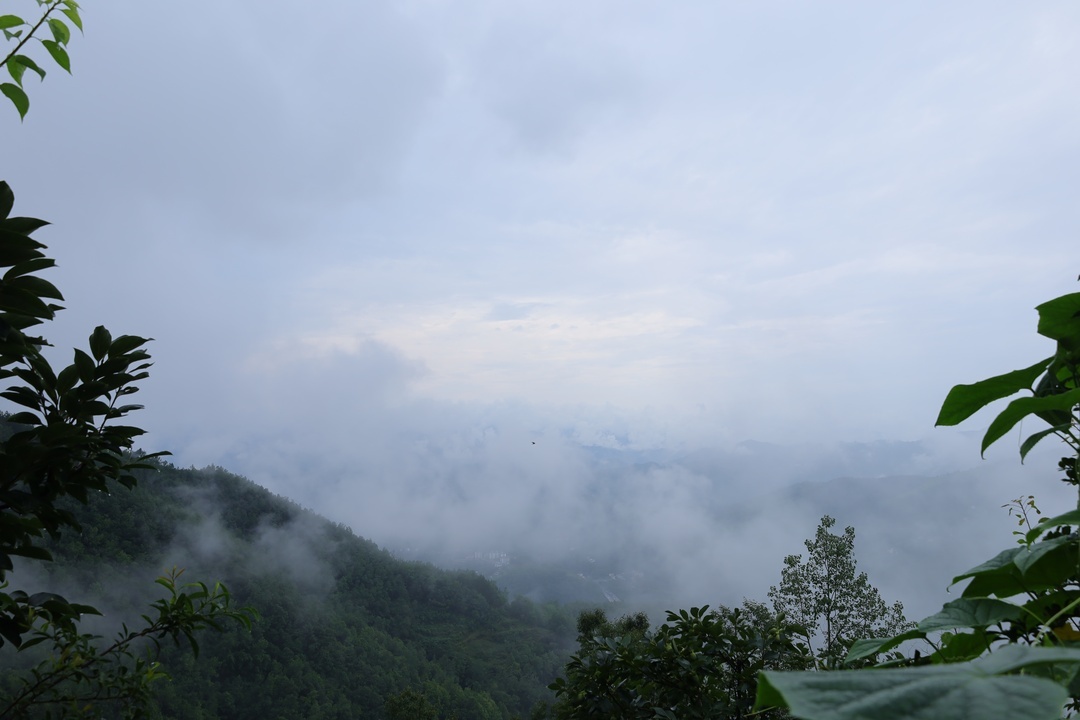 ������ҵְҵ������ѧ��������������ó���Ρ��������ʵ����ʵ��̽Ѱ������˵Ļ�ţ��ֳ֮·