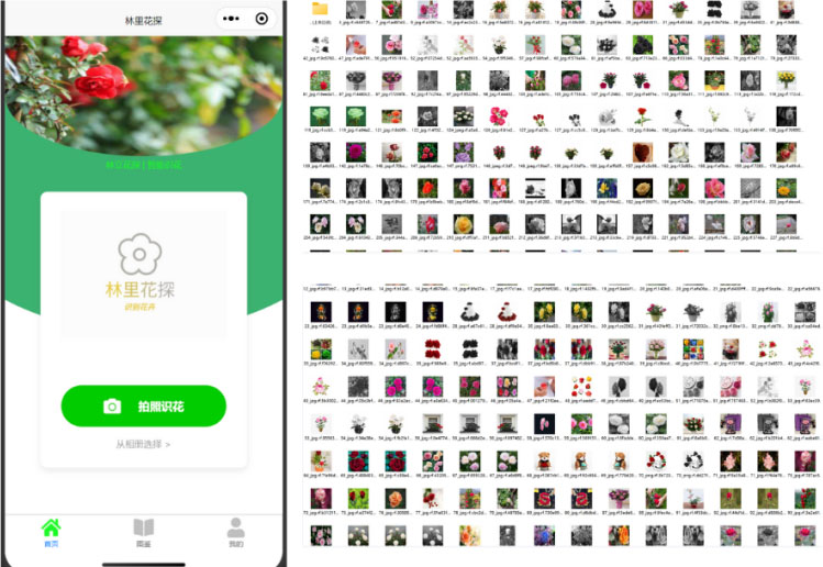 ���ﻨ̽�����ܻ���ʶ���Эͬ�������ʵ��