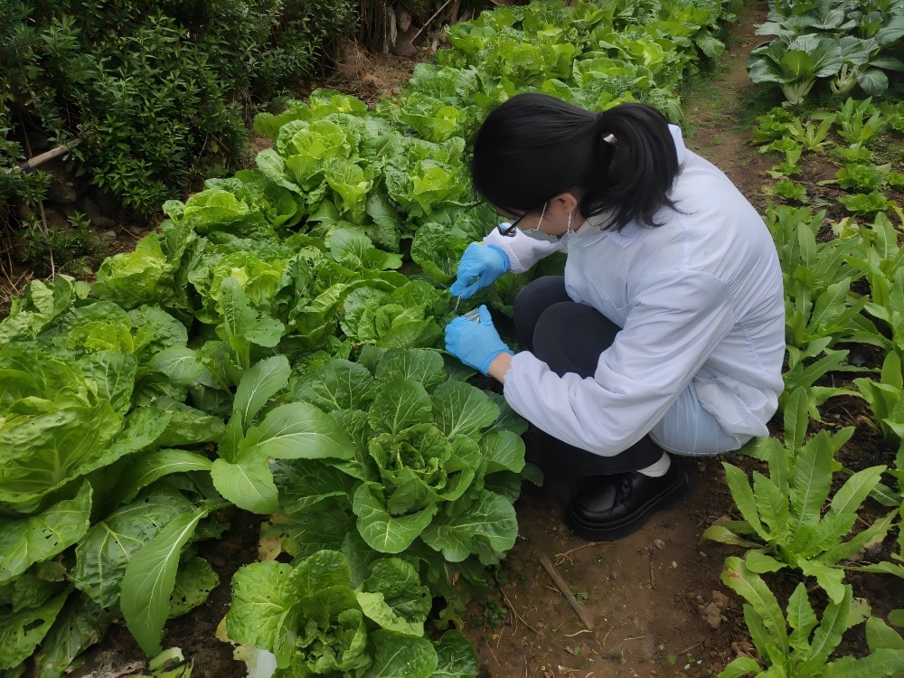 ѧʵڵУɽ̻񡪡ɫѧ