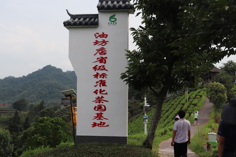 ��ý���������ҵ��չ������ʱ���ġ����ũ�ˡ�