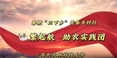 �ഺ���� ����