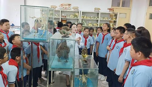 ��̬����Դ����ѧԺЯ�ֵ����пƼ��֡�����·Сѧ���Ͼٰ졪��2023������С�������Ȼ��η��