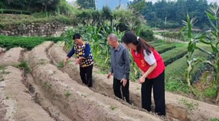 ����ҽѧԺ��ѧ����������ҩѧ־Ը������ڰ����п�չ���ʵ���